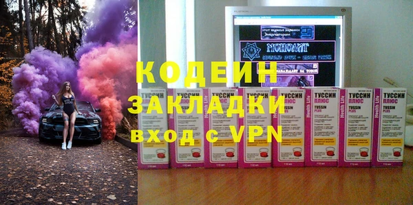 прущие грибы Вяземский