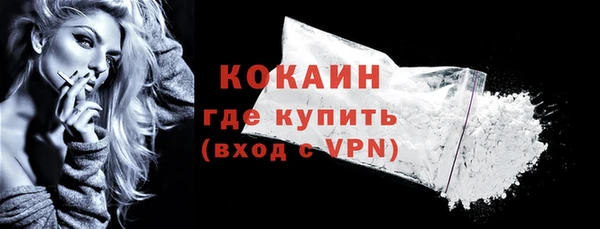 трава Гусиноозёрск