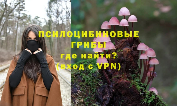 амфетамин Гусев