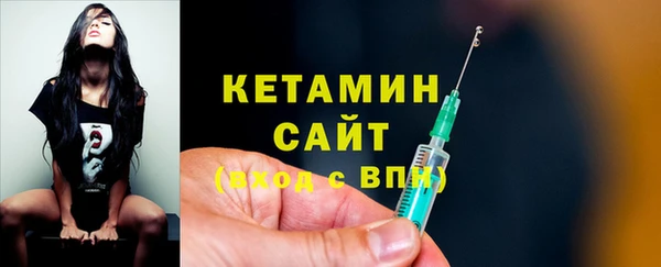 трава Гусиноозёрск