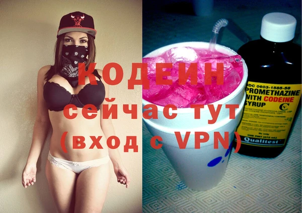 трава Гусиноозёрск