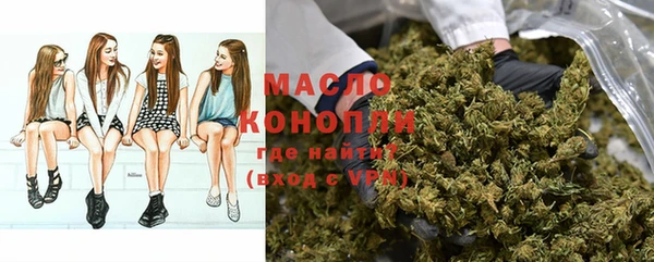 трава Гусиноозёрск
