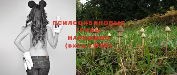 амфетамин Гусев